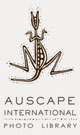 auscape