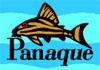 Panaque srl