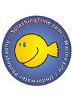 SplashingTime.com