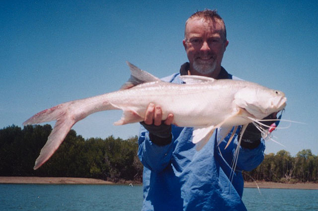 Polydactylus macrochir