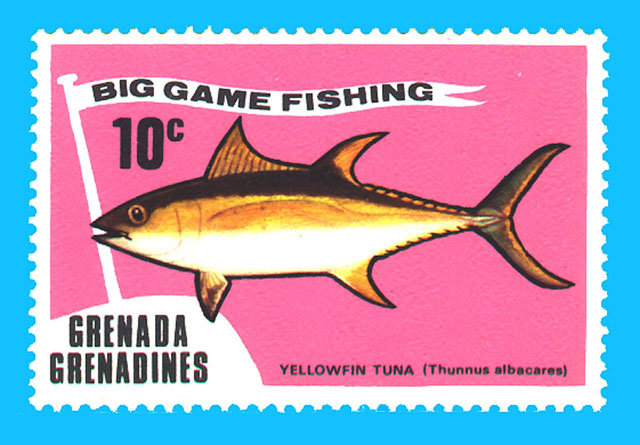 Thunnus albacares